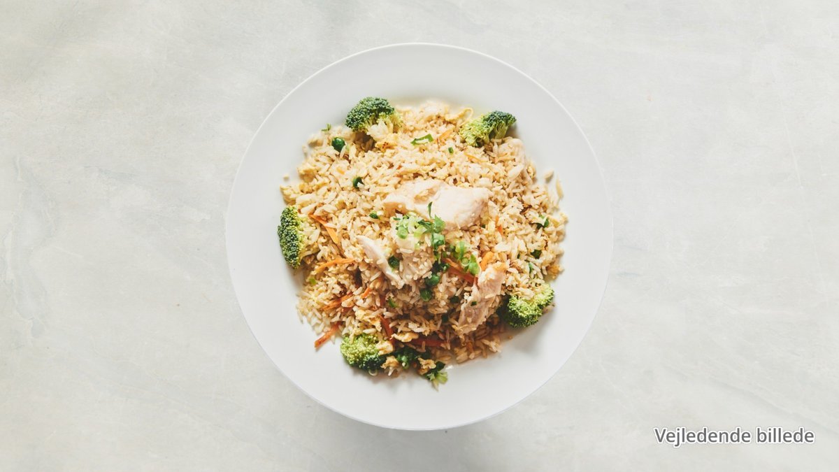 DUCK FRIED RICE